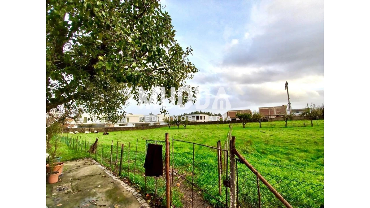 Terreno para Venda em Albergaria-A-Velha e Valmaior Foto 3