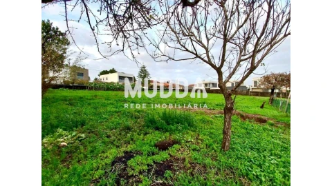 Terreno para Venda em Albergaria-A-Velha e Valmaior