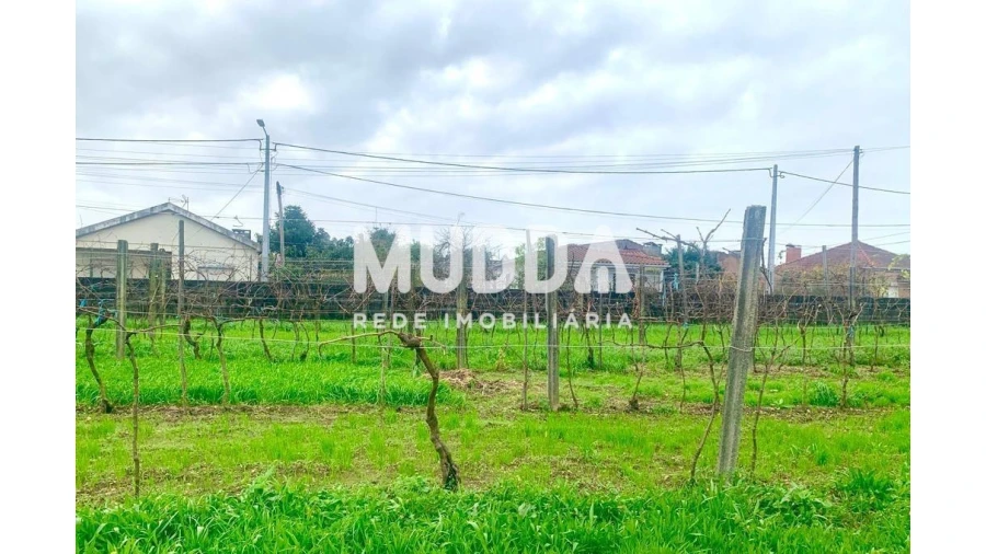 Terreno para Venda em Albergaria-A-Velha e Valmaior Foto 4