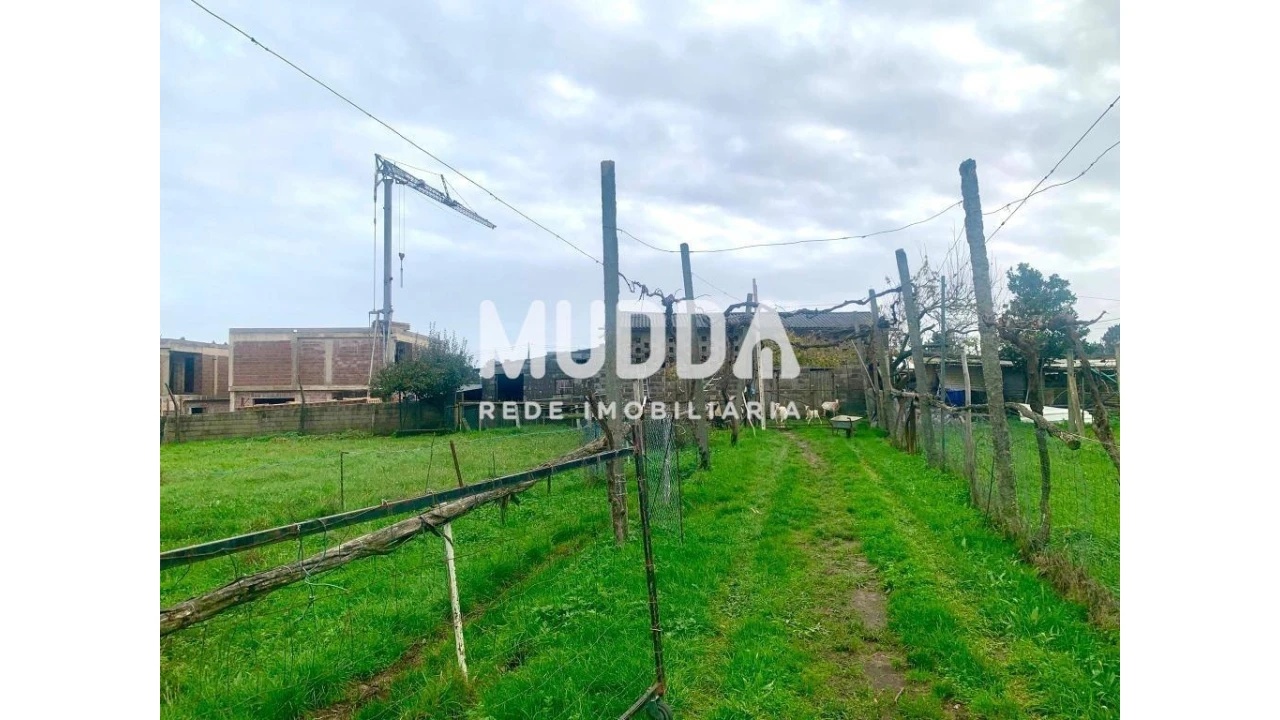 Terreno para Venda em Albergaria-A-Velha e Valmaior Foto 13