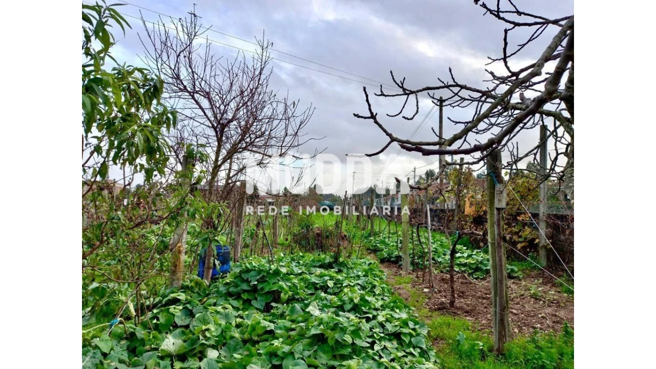 Terreno para Venda em Albergaria-A-Velha e Valmaior Foto 11