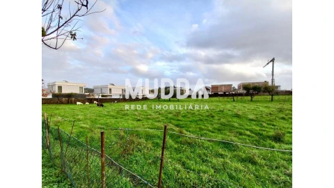 Terreno para Venda em Albergaria-A-Velha e Valmaior