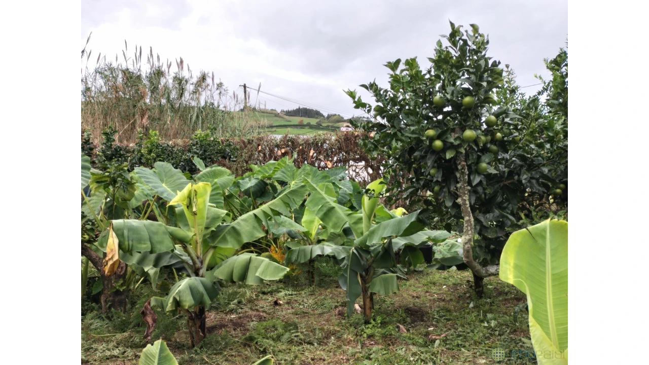 Terreno para Venda em Feteira Foto 10