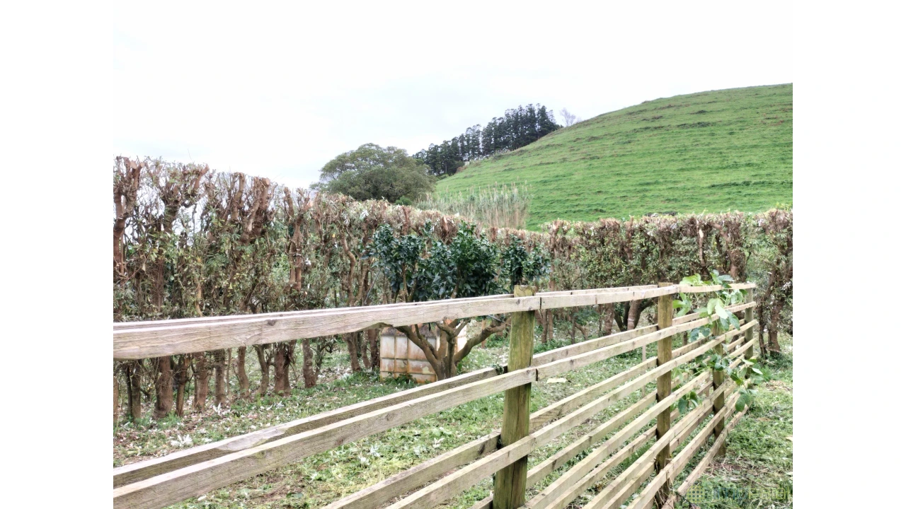 Terreno para Venda em Feteira Foto 15