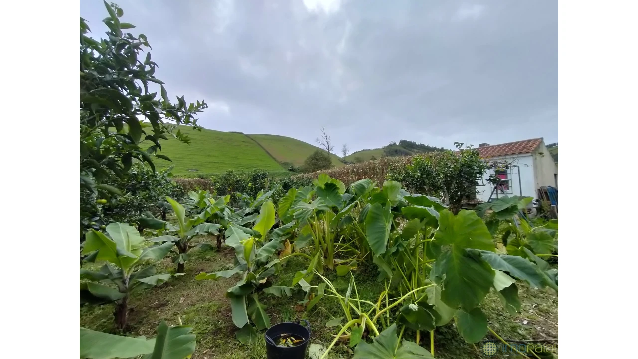 Terreno para Venda em Feteira Foto 14