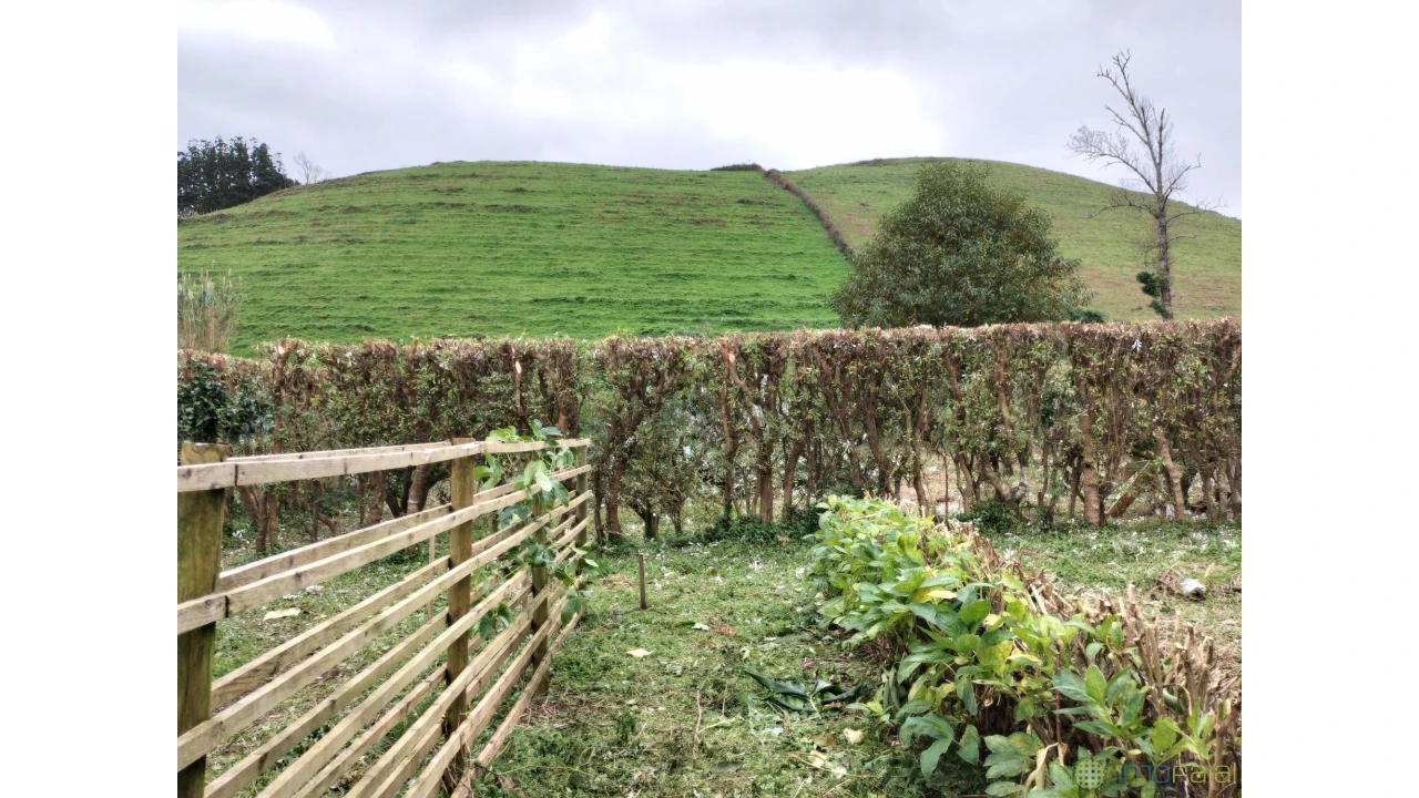 Terreno para Venda em Feteira Foto 6