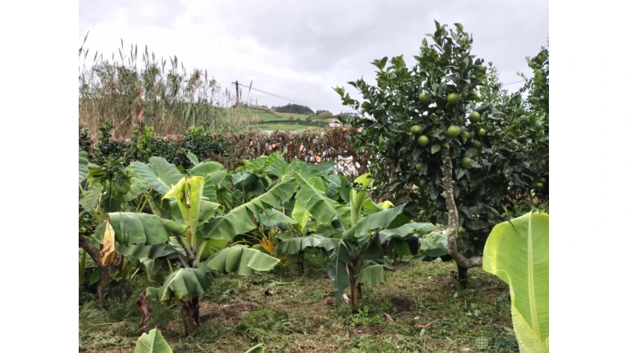 Terreno para Venda em Feteira Foto 10