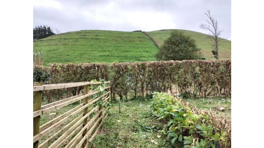 Terreno para Venda em Feteira Foto 6