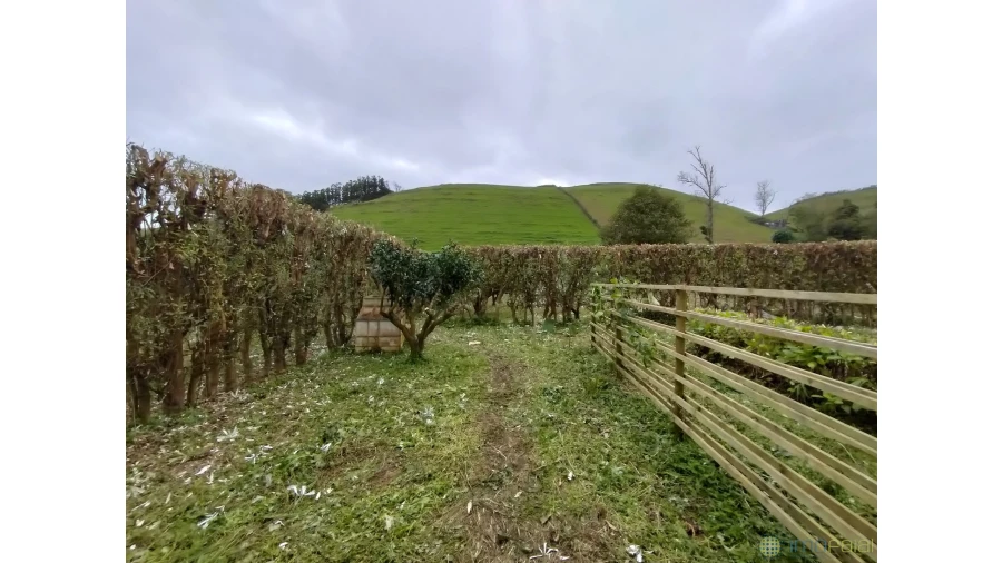 Terreno para Venda em Feteira Foto 1