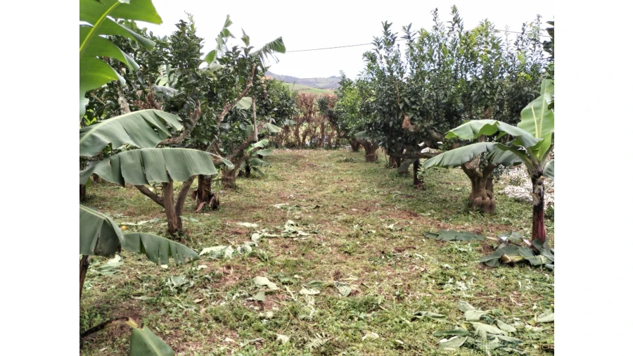 Terreno para Venda em Feteira Foto 8