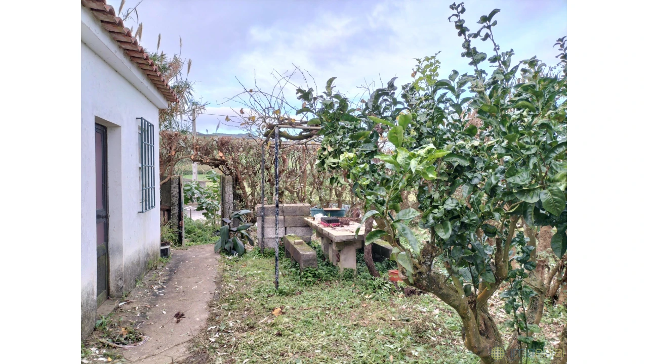 Terreno para Venda em Feteira Foto 4