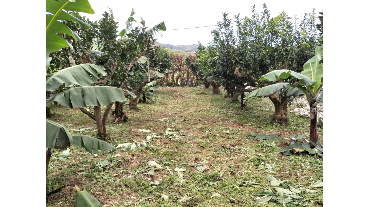 Terreno para Venda em Feteira Foto 8