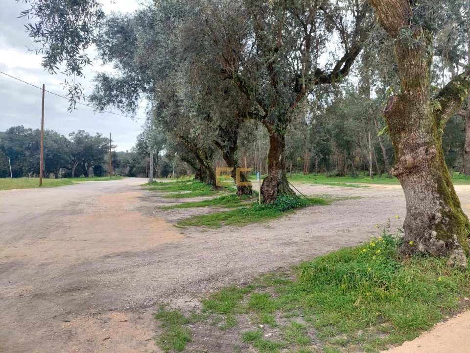 Moradia T7 para Venda em Paião Foto 33