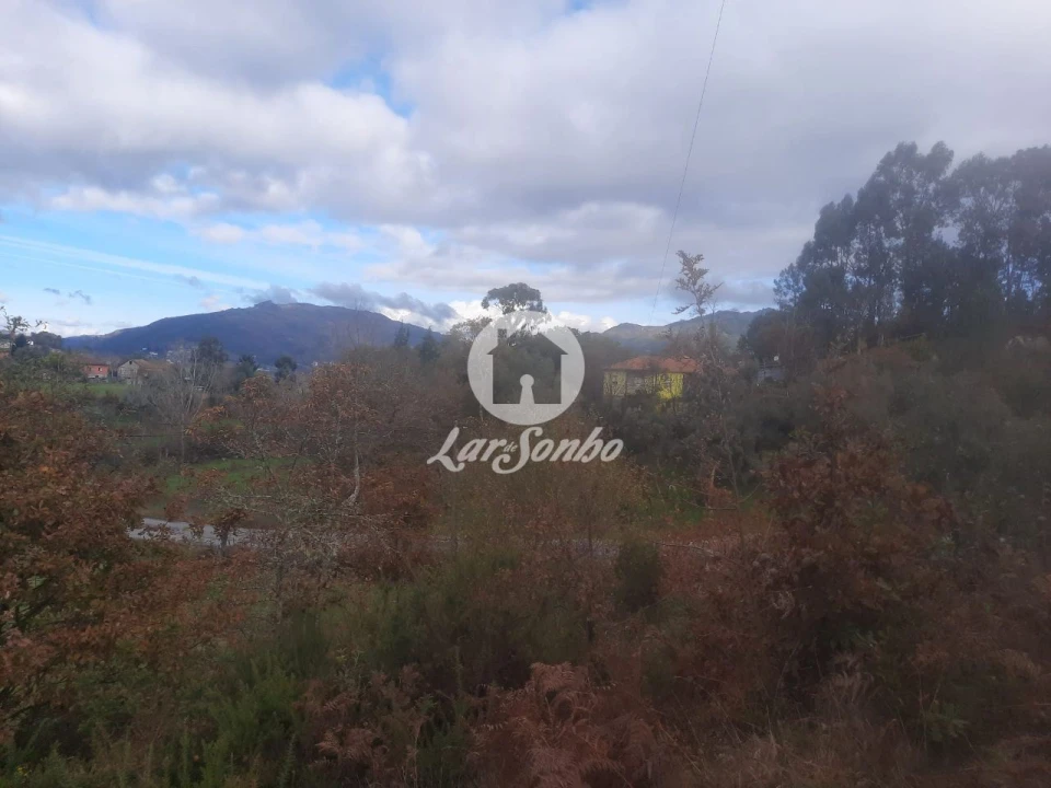 Terreno Agricola ou Rústico para Venda em Basto (São Clemente) Foto 3
