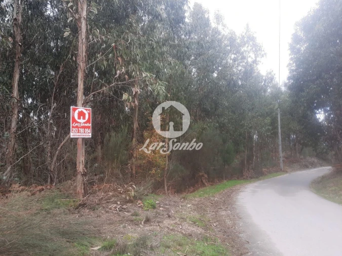 Terreno Agricola ou Rústico para Venda em Basto (São Clemente) Foto 1