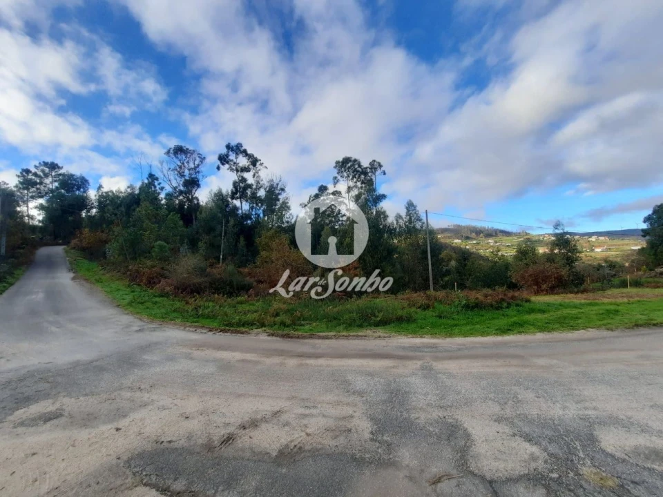 Terreno Agricola ou Rústico para Venda em Basto (São Clemente) Foto 2