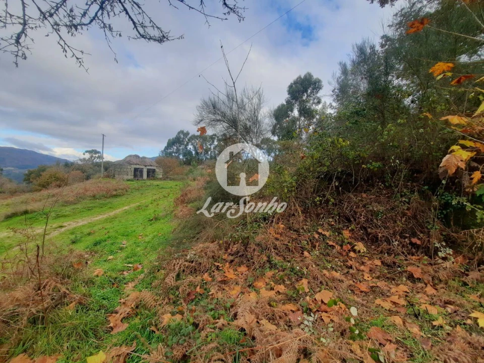 Terreno Agricola ou Rústico para Venda em Basto (São Clemente) Foto 7