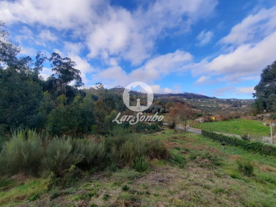 Terreno Agricola ou Rústico para Venda em Basto (São Clemente) Foto 9