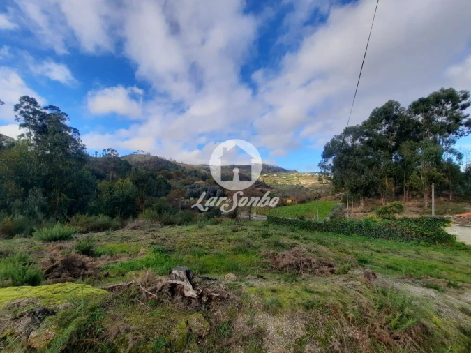 Terreno Agricola ou Rústico para Venda em Basto (São Clemente) Foto 3