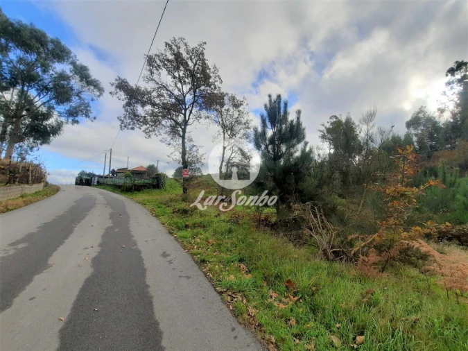 Terreno Agricola ou Rústico para Venda em Basto (São Clemente) Foto 4