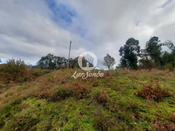Terreno Agricola ou Rústico para Venda em Basto (São Clemente) Foto 5