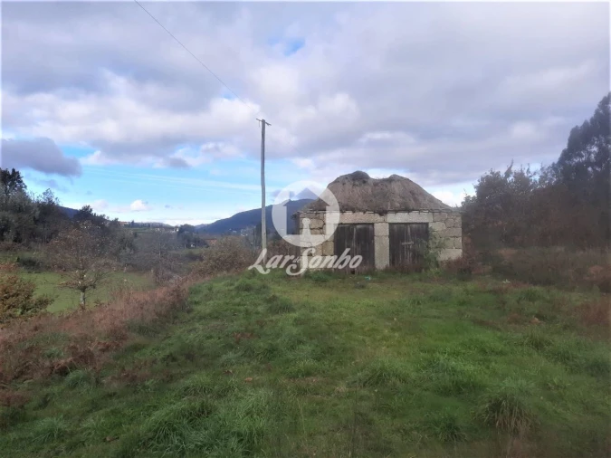 Terreno Agricola ou Rústico para Venda em Basto (São Clemente) Foto 6