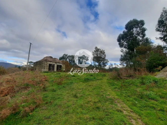 Terreno Agricola ou Rústico para Venda em Basto (São Clemente) Foto 1