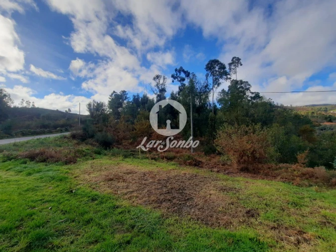Terreno Agricola ou Rústico para Venda em Basto (São Clemente) Foto 8