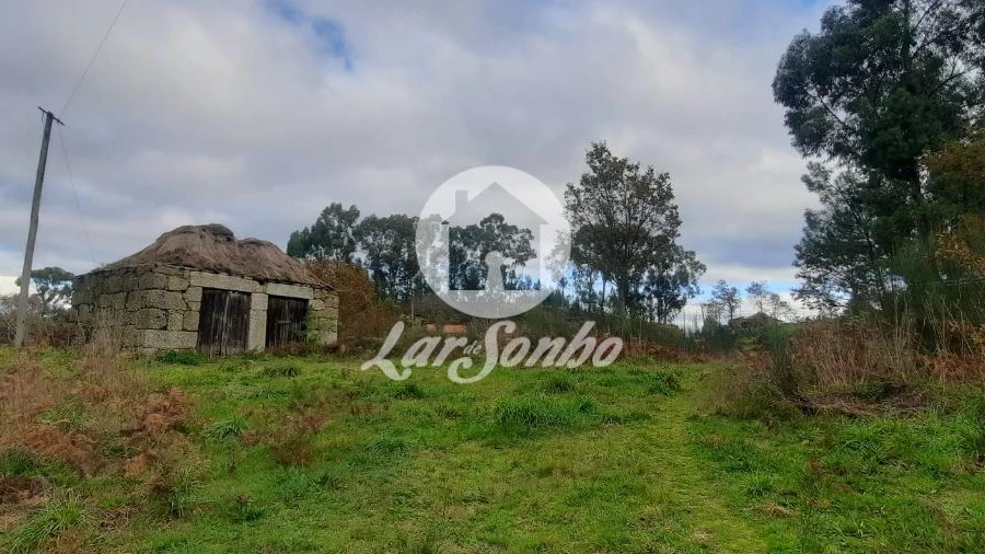 Terreno Agricola ou Rústico para Venda em Basto (São Clemente)