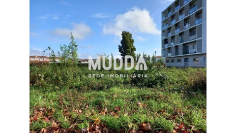 Terreno para Venda em Albergaria-A-Velha e Valmaior