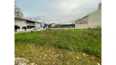 Terreno para Venda em São Martinho de Árvore e Lamarosa