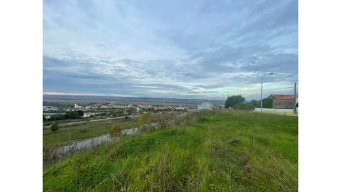 Terreno para Venda em São Martinho de Árvore e Lamarosa