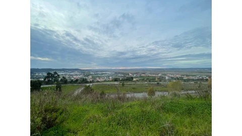 Terreno para Venda em São Martinho de Árvore e Lamarosa