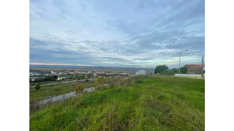 Terreno para Venda em São Martinho de Árvore e Lamarosa Foto 10