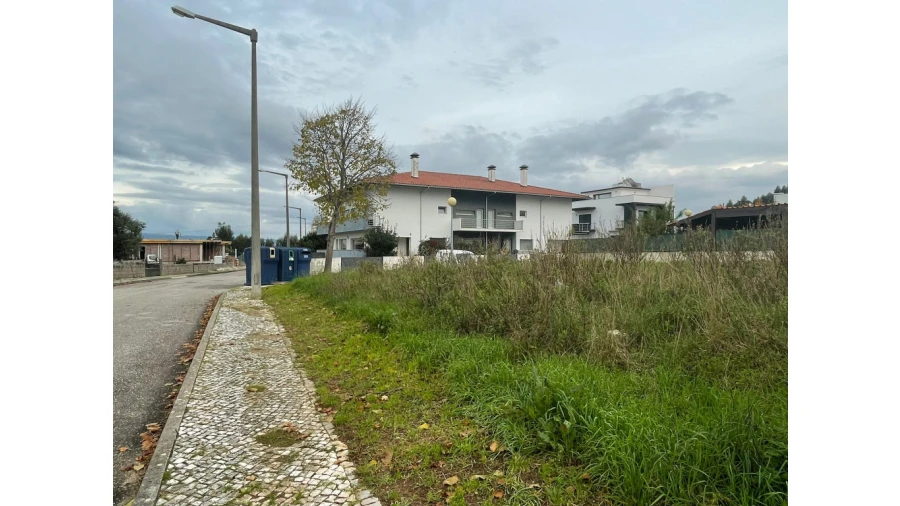 Terreno para Venda em São Martinho de Árvore e Lamarosa Foto 7