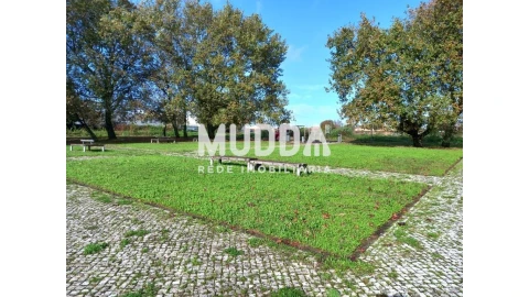 Terreno para Venda em Albergaria-A-Velha e Valmaior