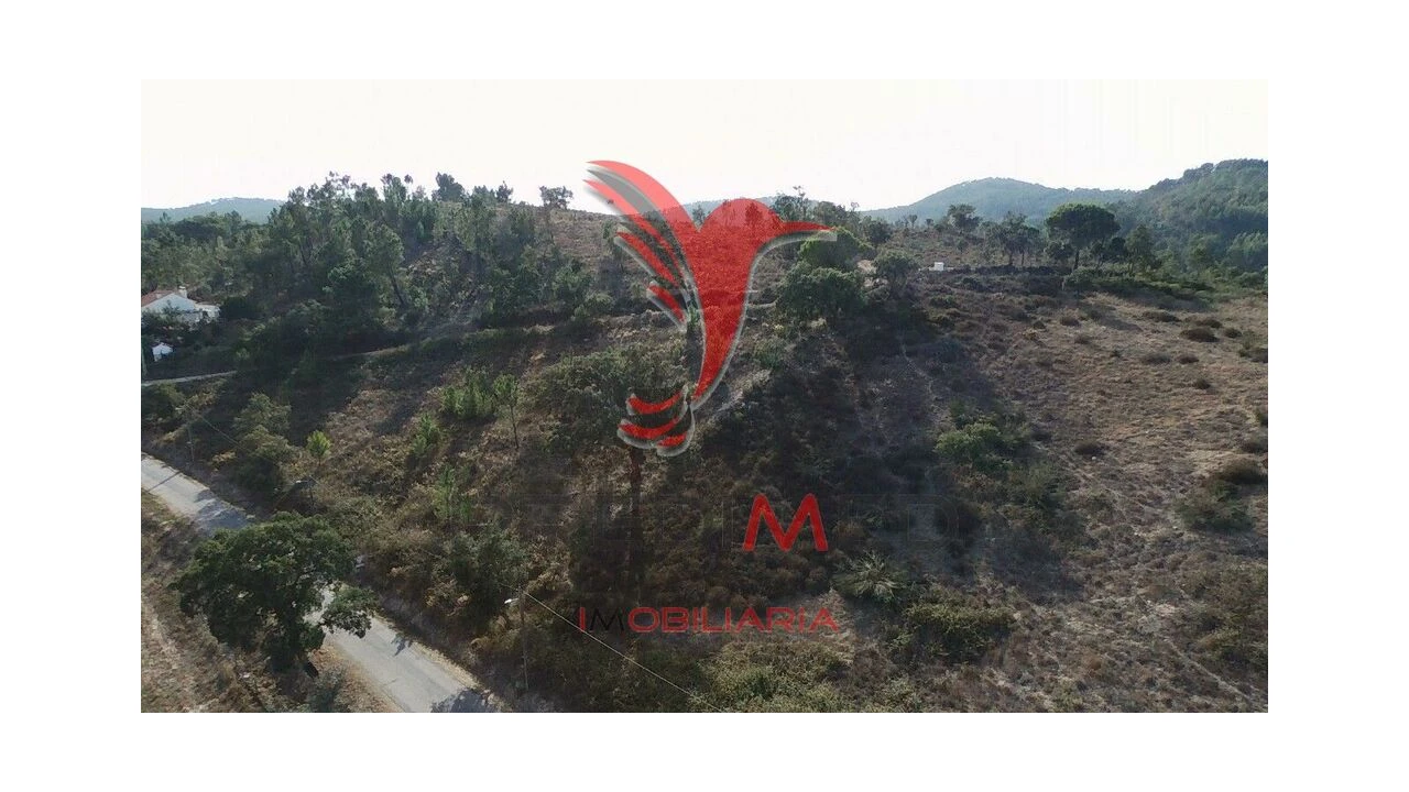 Terreno para Venda em São Luis Foto 5