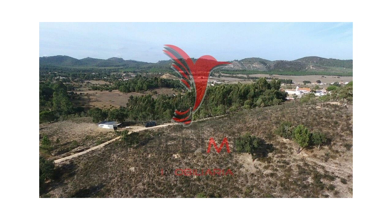 Terreno para Venda em São Luis Foto 7