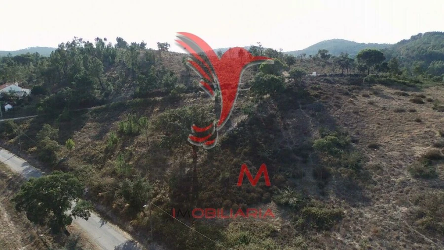 Terreno para Venda em São Luis Foto 5