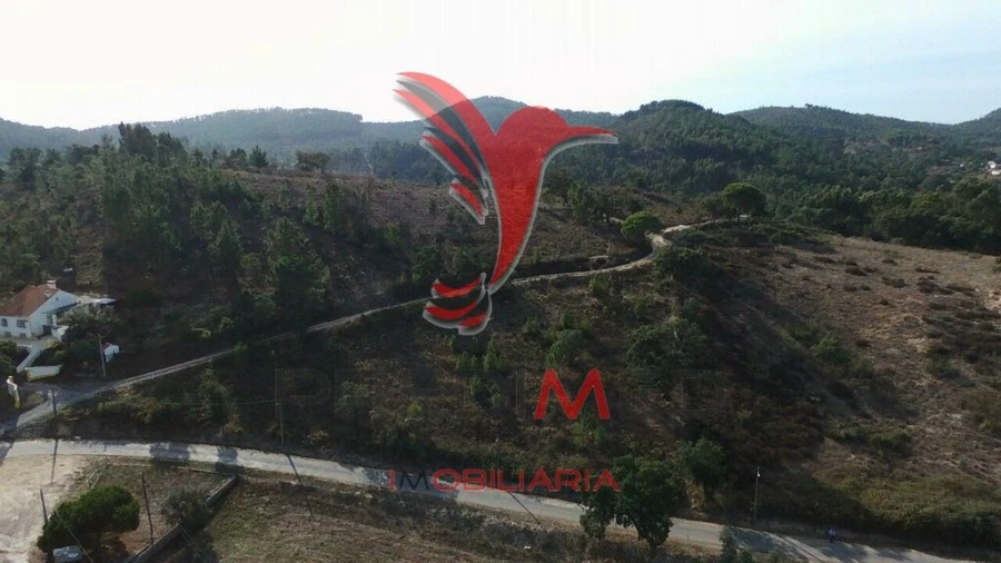 Terreno para Venda em São Luis Foto 4