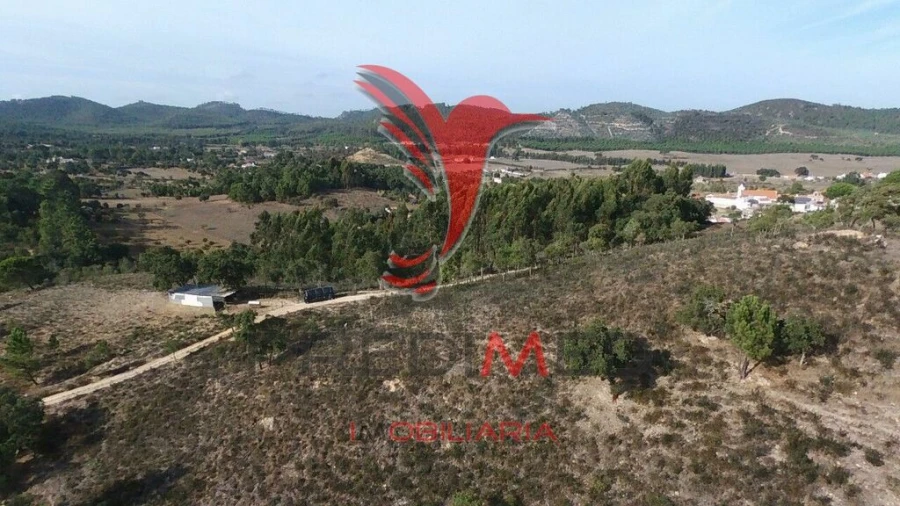 Terreno para Venda em São Luis Foto 7