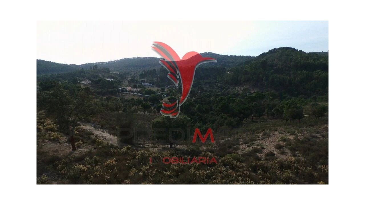 Terreno para Venda em São Luis Foto 6