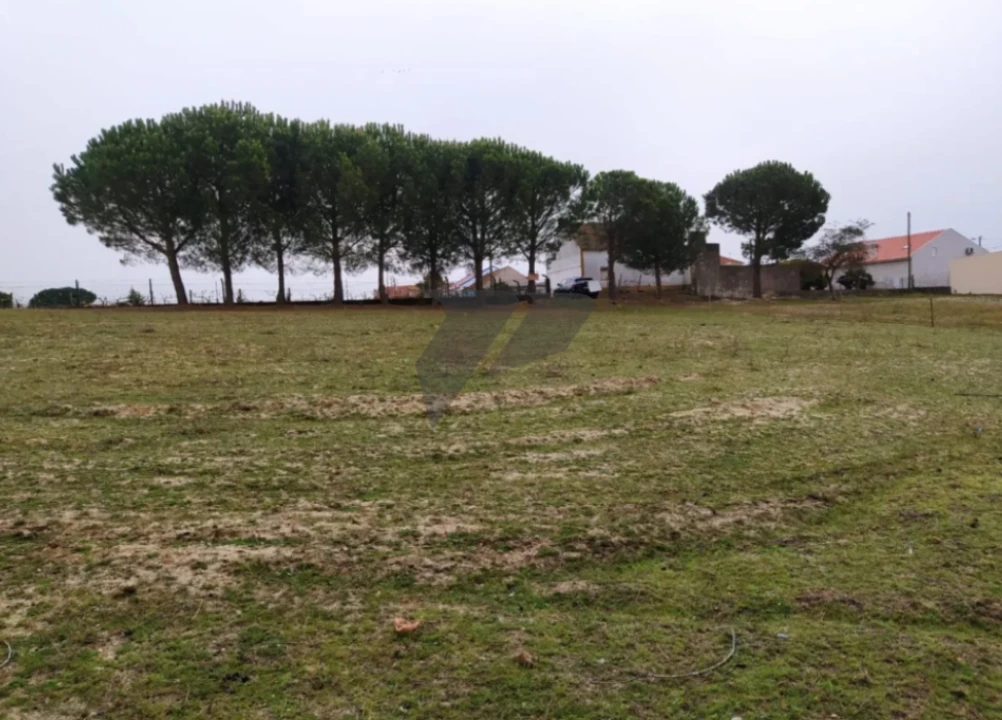 Terreno para Venda em Pegões Foto 3