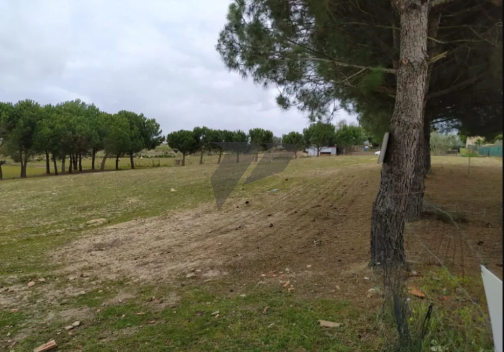 Terreno para Venda em Pegões Foto 2