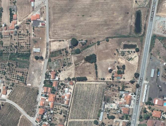 Terreno para Venda em Pegões Foto 7