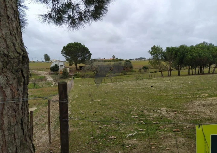 Terreno para Venda em Pegões