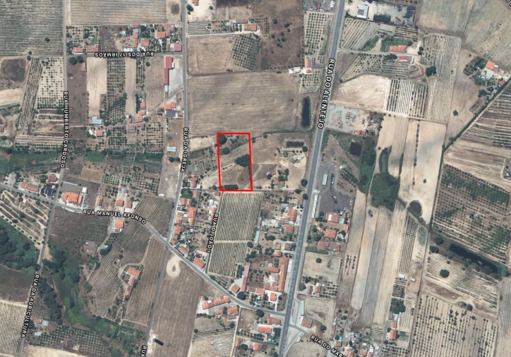 Terreno para Venda em Pegões Foto 4