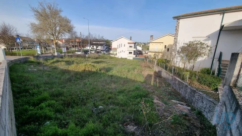 Terreno para Venda em Avelãs de Ambom e Rocamondo