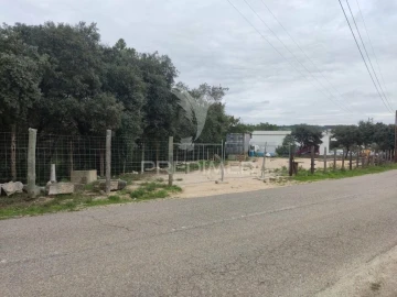 Terreno para Venda em Nossa Senhora das Misericordias