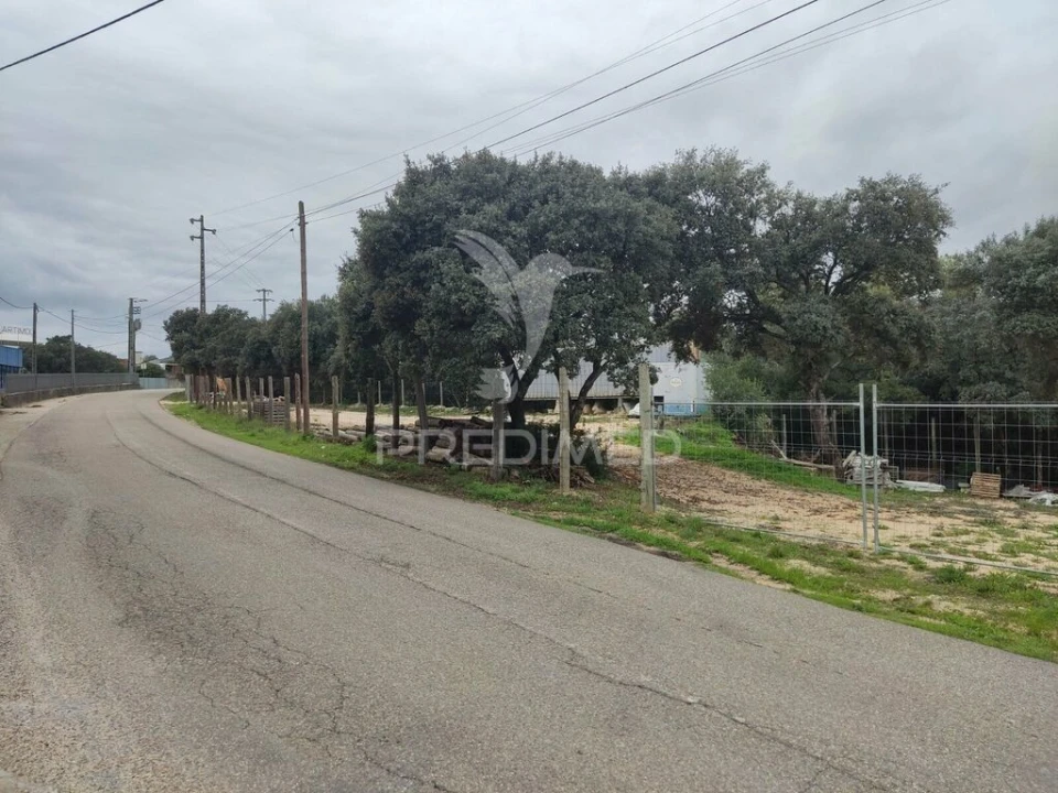 Terreno para Venda em Nossa Senhora das Misericordias Foto 4